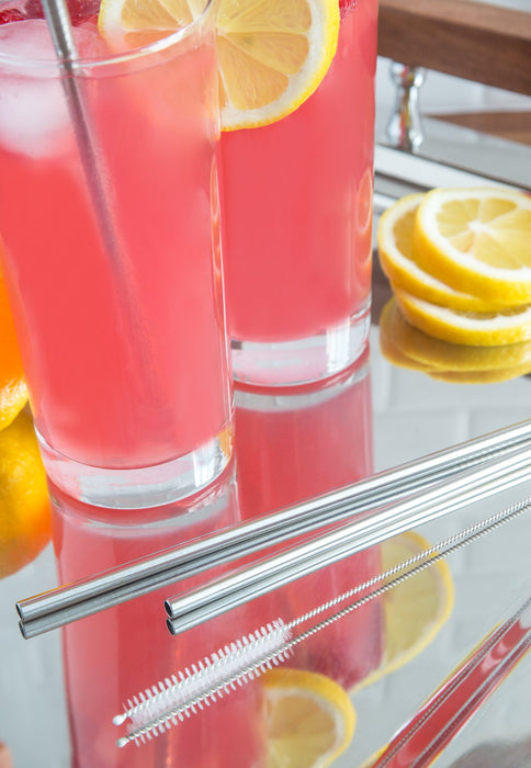 Set de 4 Popotes Rectos  Fox Run 76429 0876824764295