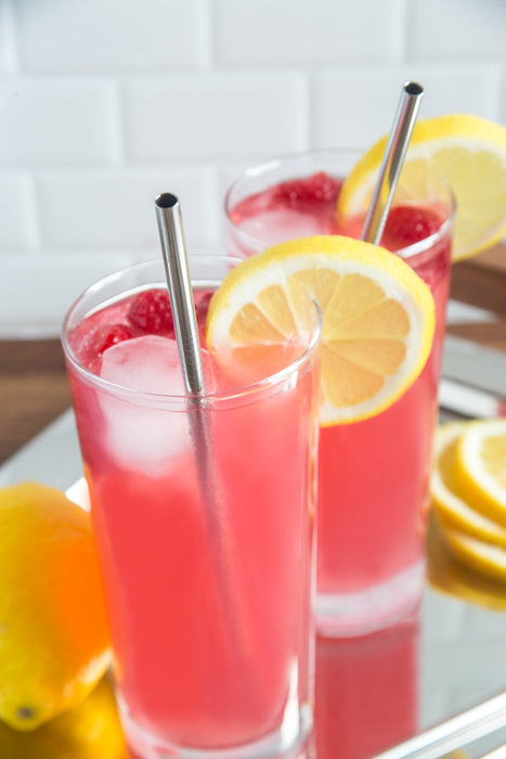 Set de 4 Popotes Rectos  Fox Run 76429 0876824764295