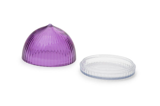 Recipiente para Guardar Cebolla Purple Fox Run 37051 030734370513