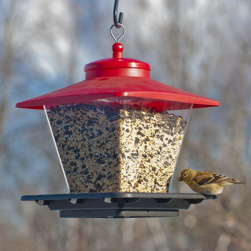 Alimentador para Pájaros 7 lb. Audubon 8405342 047977005065